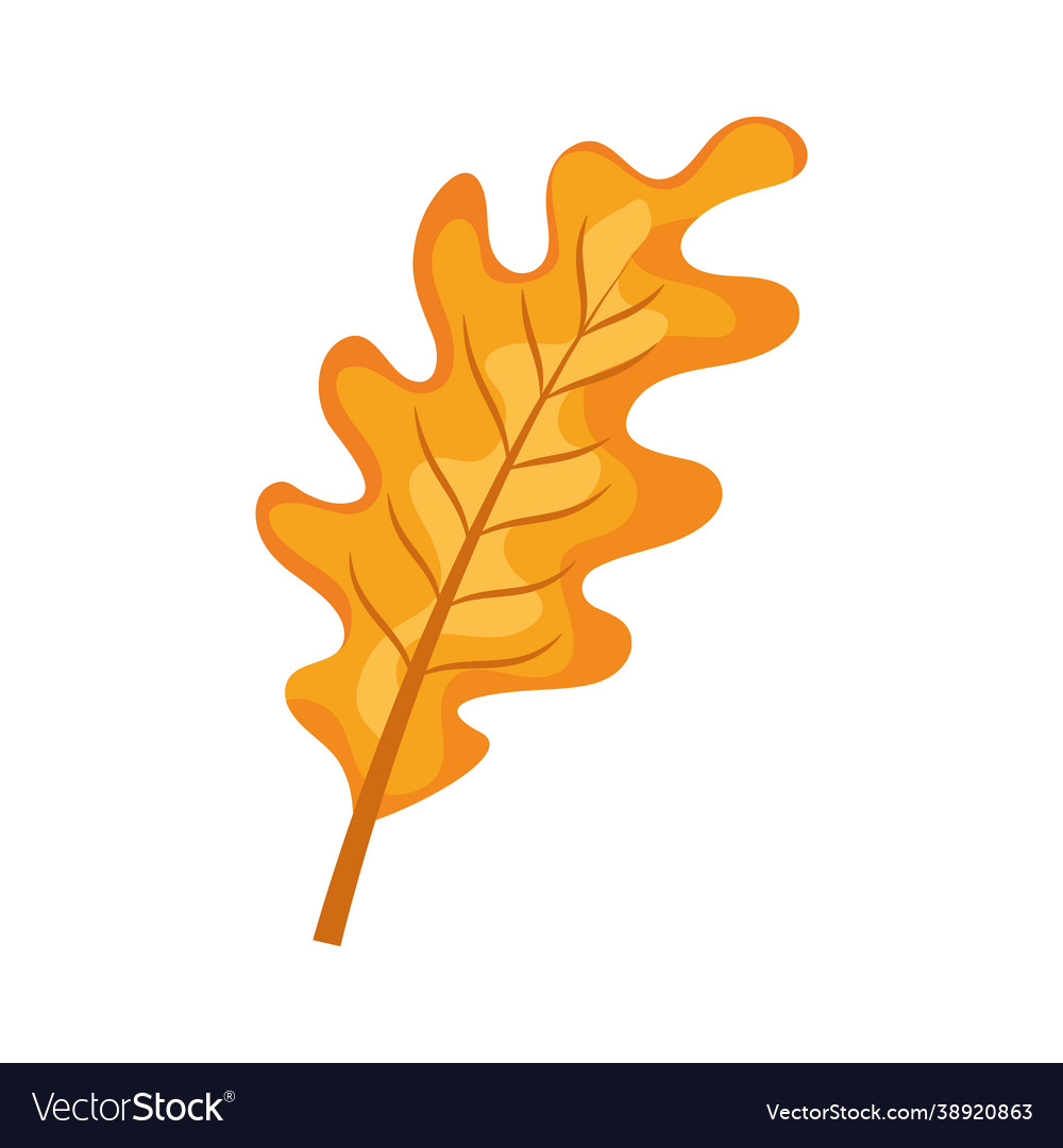 Autumn oak leaf Royalty Free Vector Image - VectorStock