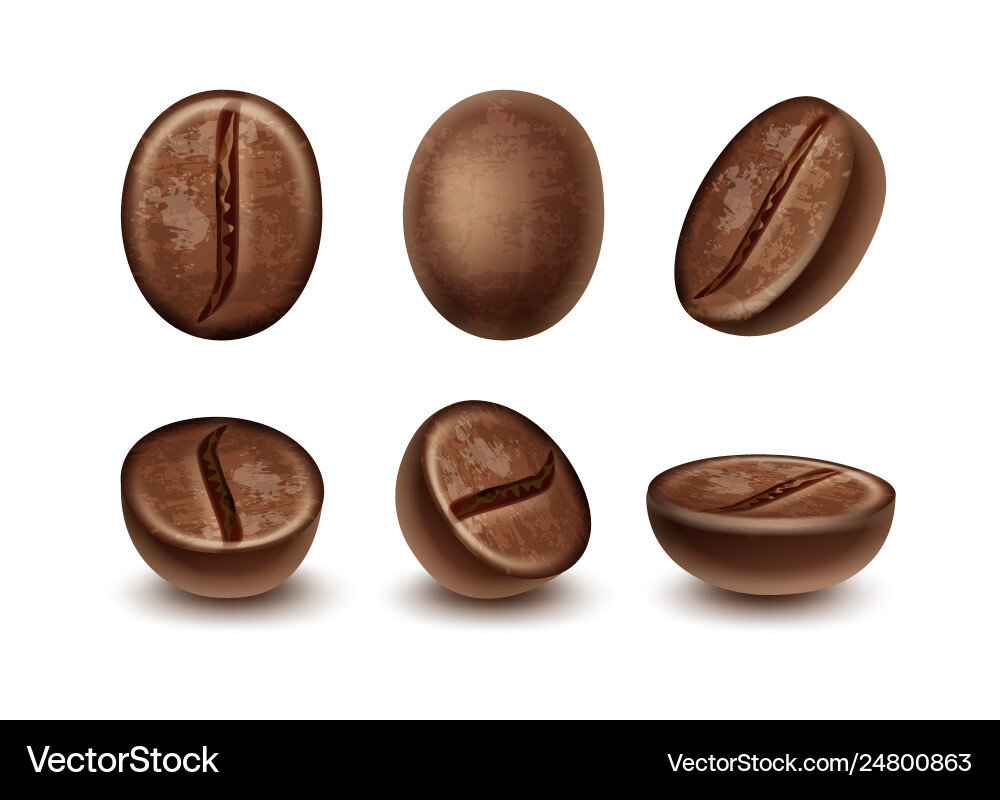 Set fresh roasted coffee beans Royalty Free Vector Image