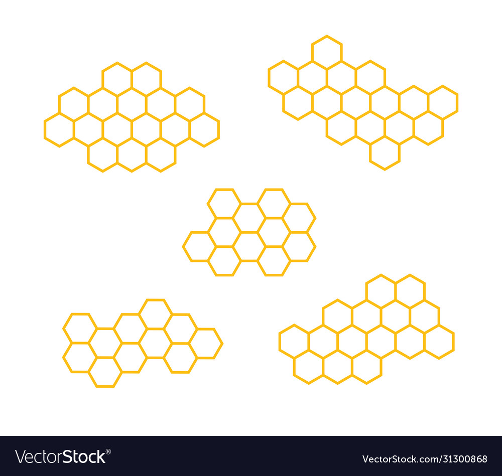 Set icons honeycomb isolated vector image Set icons honeycomb isolated