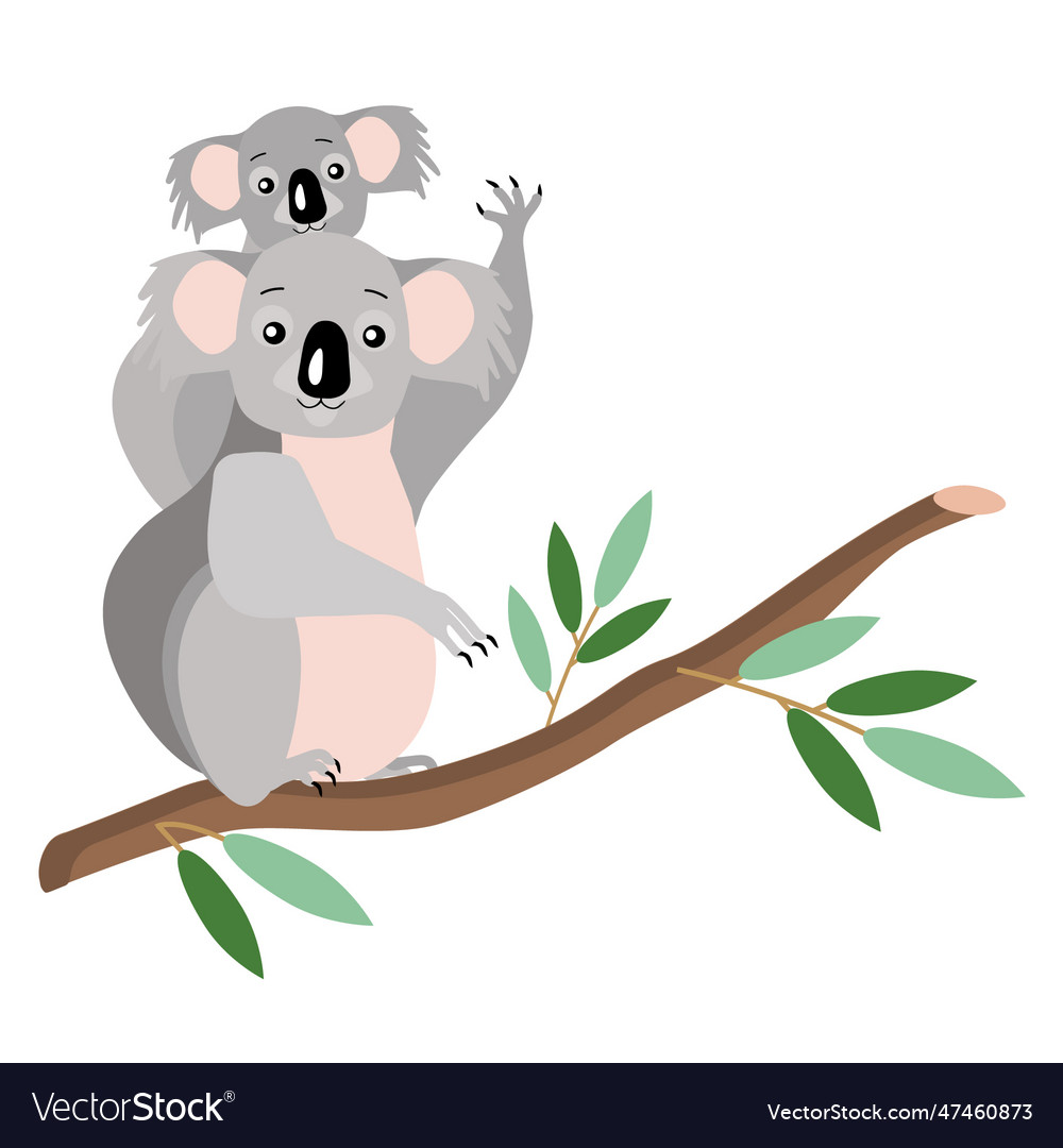 Koala with a baby Royalty Free Vector Image - VectorStock