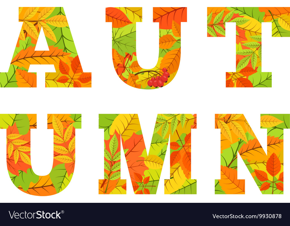 autumn word from colorful leaves fall word