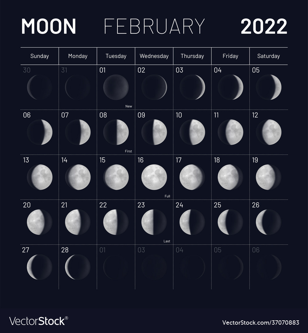 February moon phases calendar on dark night sky Vector Image