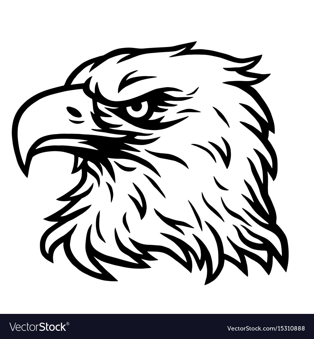 eagle head sketch