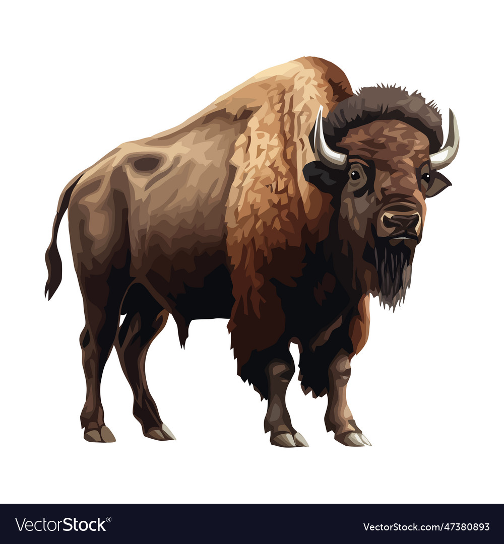 Standing strong bison a cute animal Royalty Free Vector