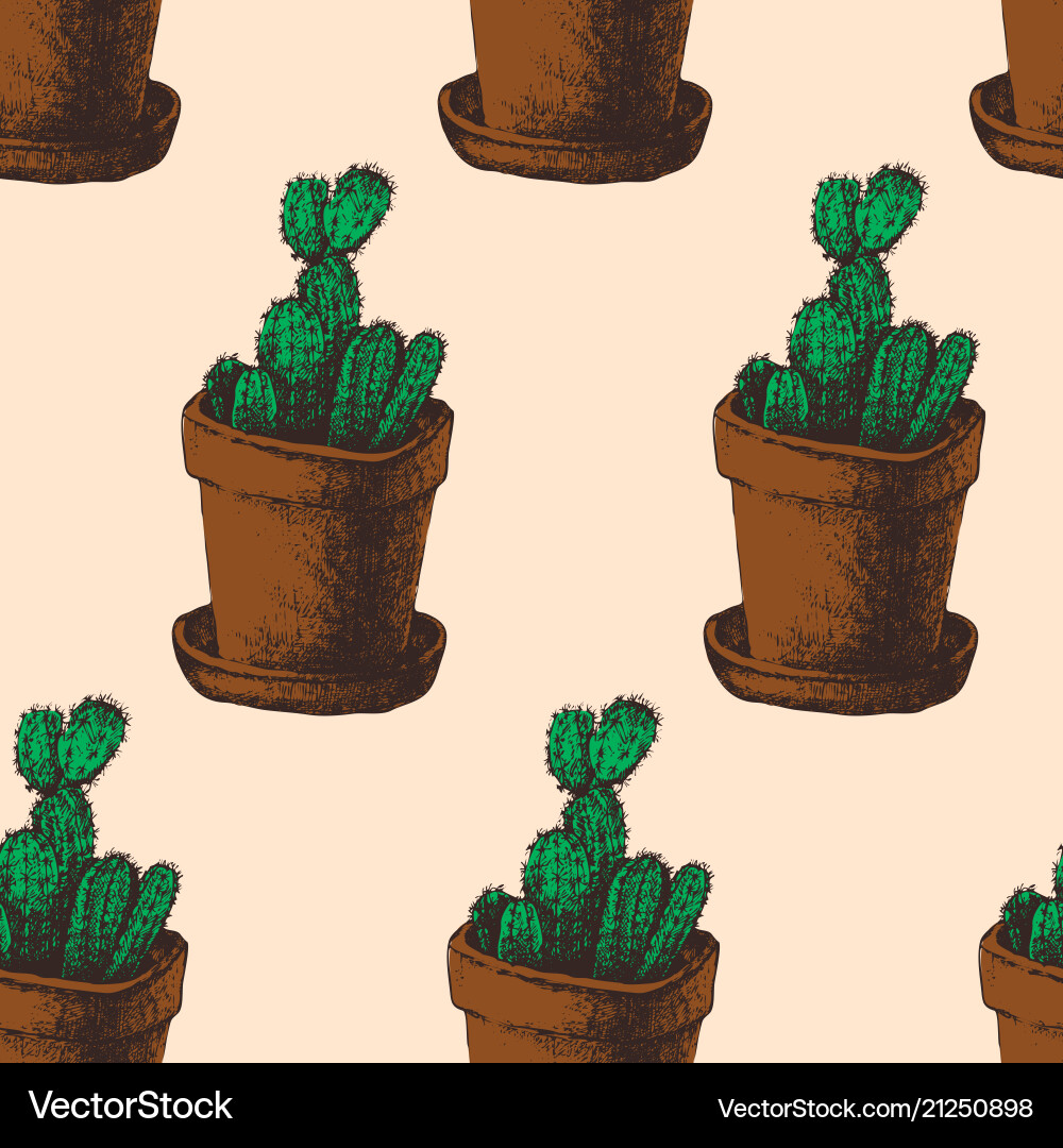 Hand drawn cactus seamless pattern Royalty Free Vector Image