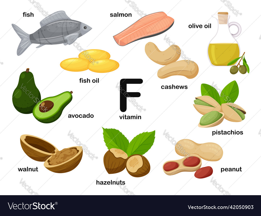 Food products containing vitamin f Royalty Free Vector Image