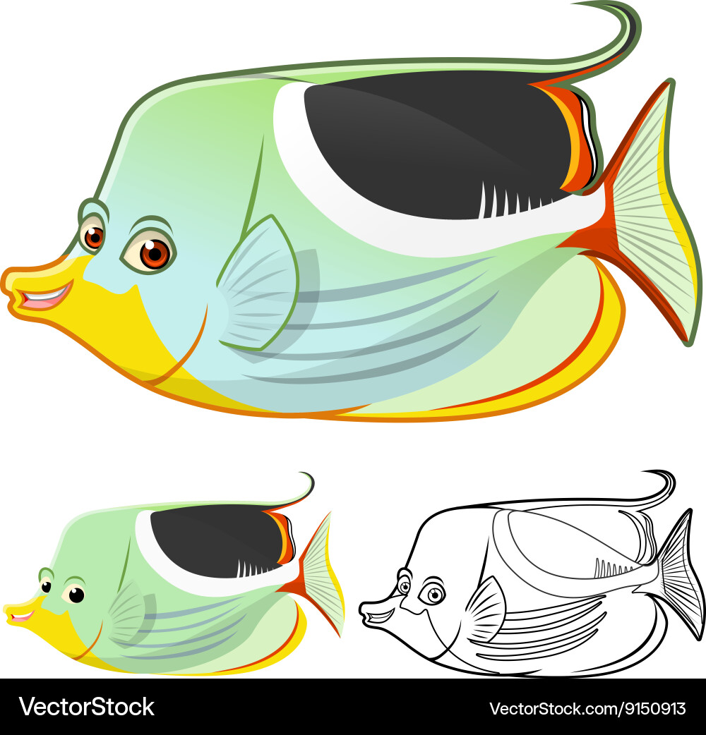 Sadle Butterflyfish Royalty Free Vector Image - VectorStock
