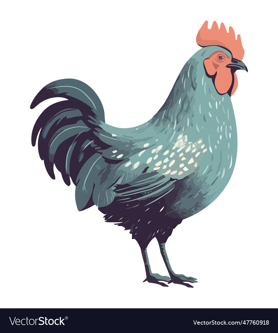 Rooster standing crowing at dawn Royalty Free Vector Image