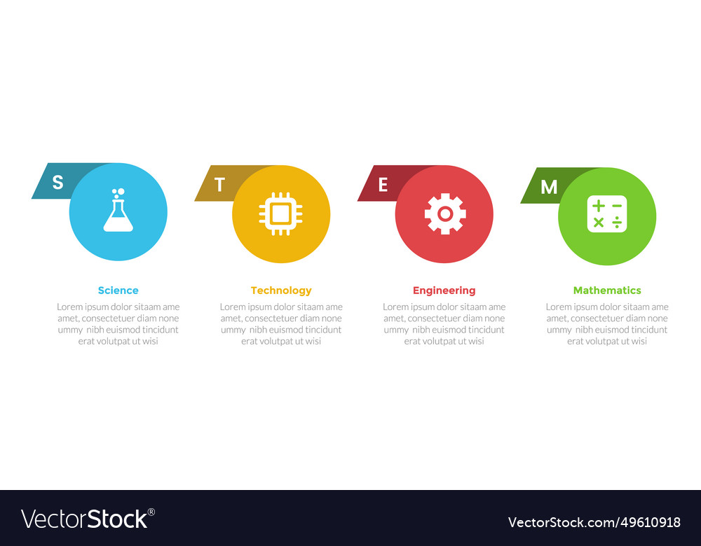 Stem education infographics template diagram Vector Image