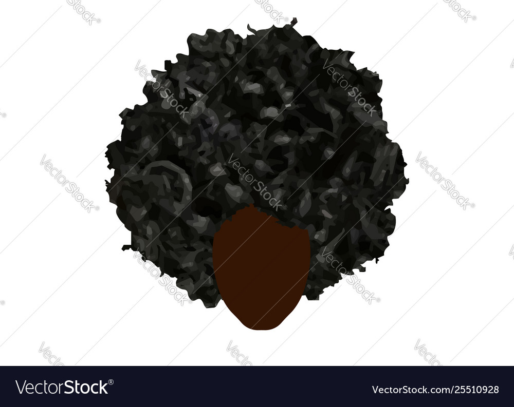 Curly Afro Hair Portrait African Women Isolated Vector Image