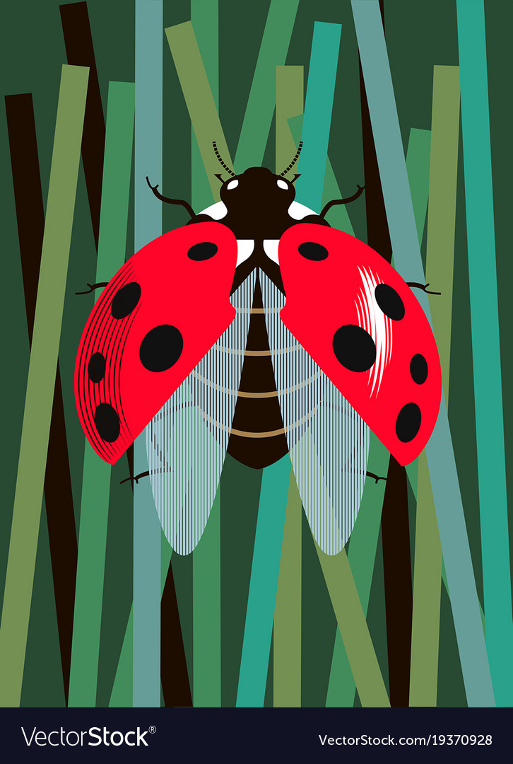 Ladybug spreads its wings Royalty Free Vector Image