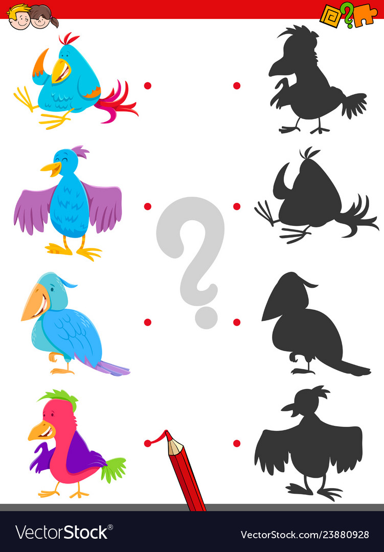 Match shadows activity with bird characters Vector Image