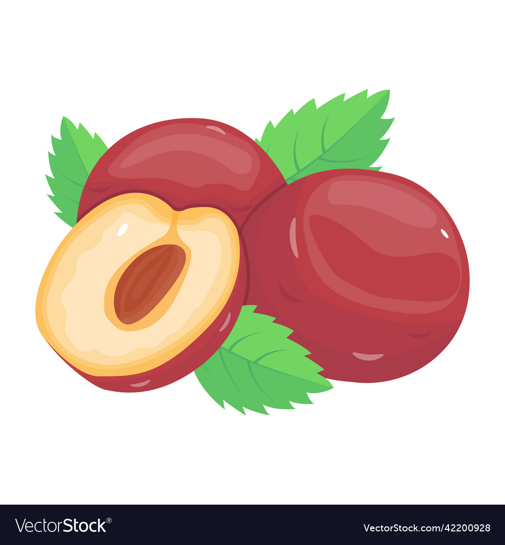 Plums Royalty Free Vector Image - VectorStock