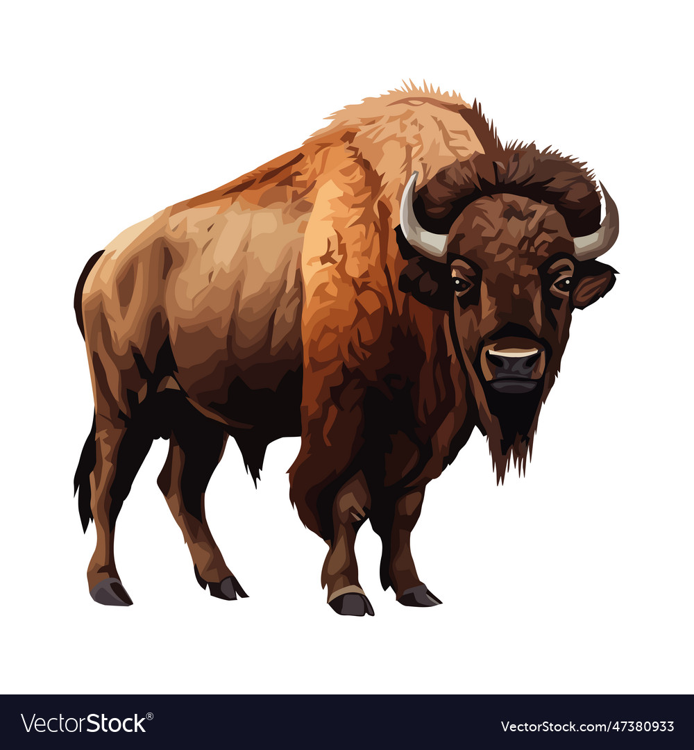 Large horned bison on white background Royalty Free Vector