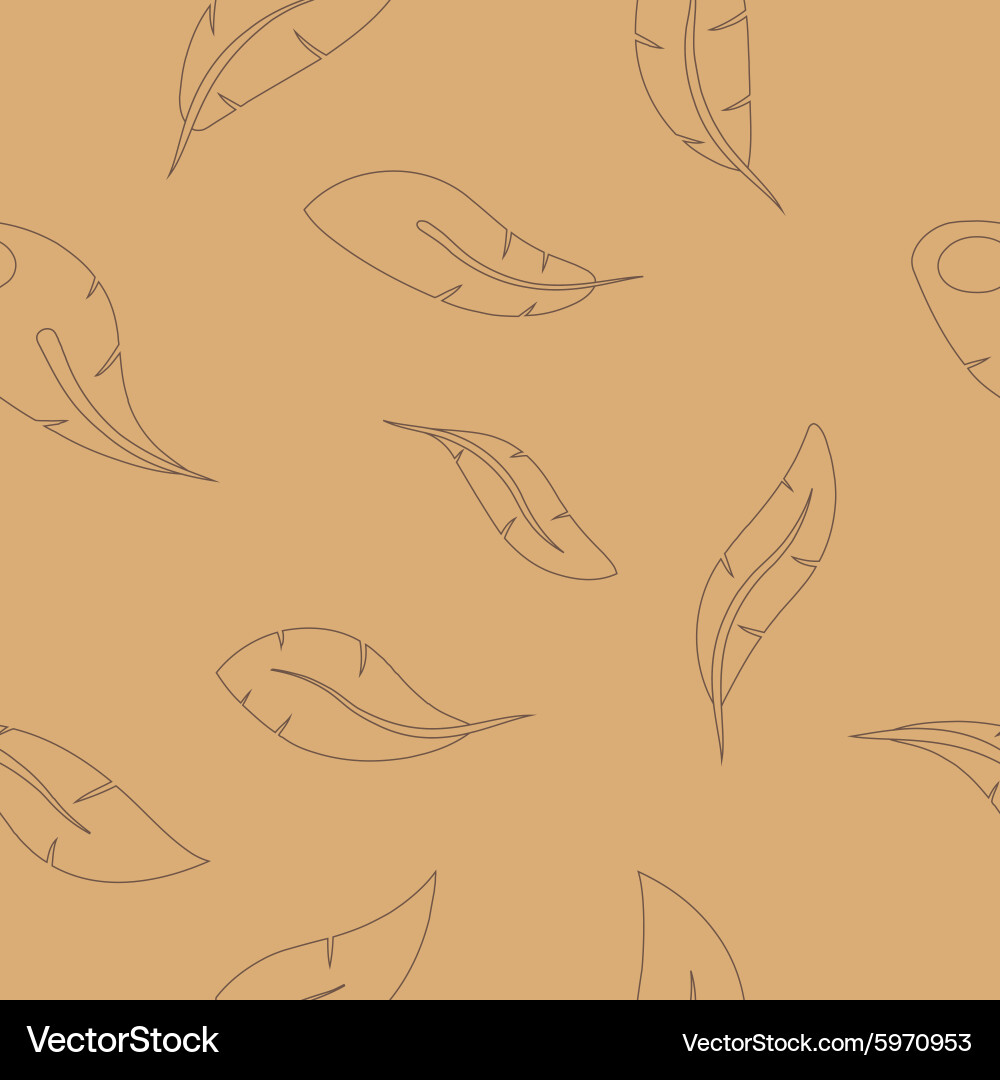 Seamless background with feather Royalty Free Vector Image