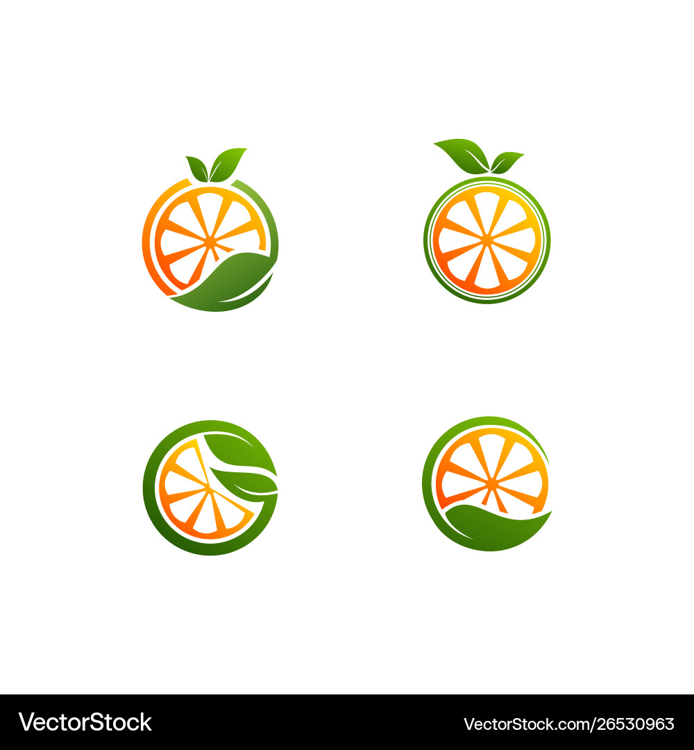 Fresh orange with a leaf Royalty Free Vector Image