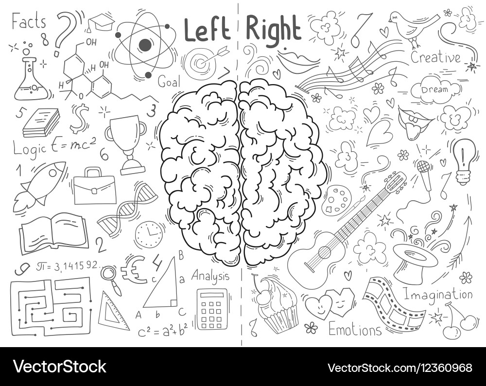 Concept of the human brain Royalty Free Vector Image