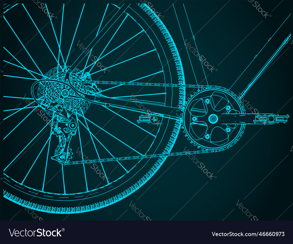 Bicycle chain drive closeup Royalty Free Vector Image