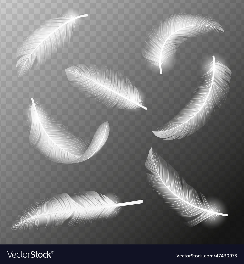 White flying feathers Royalty Free Vector Image