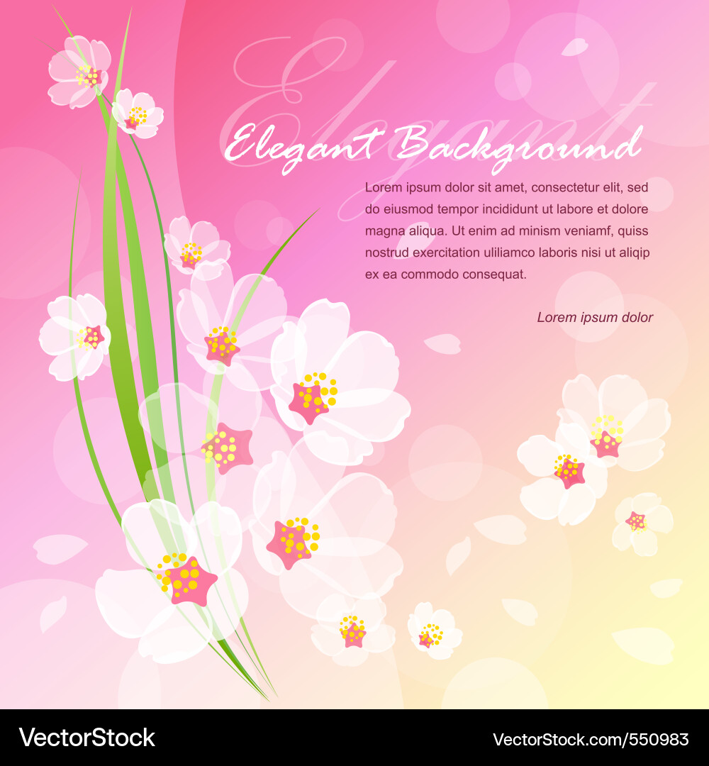 Blossom Royalty Free Vector Image - VectorStock
