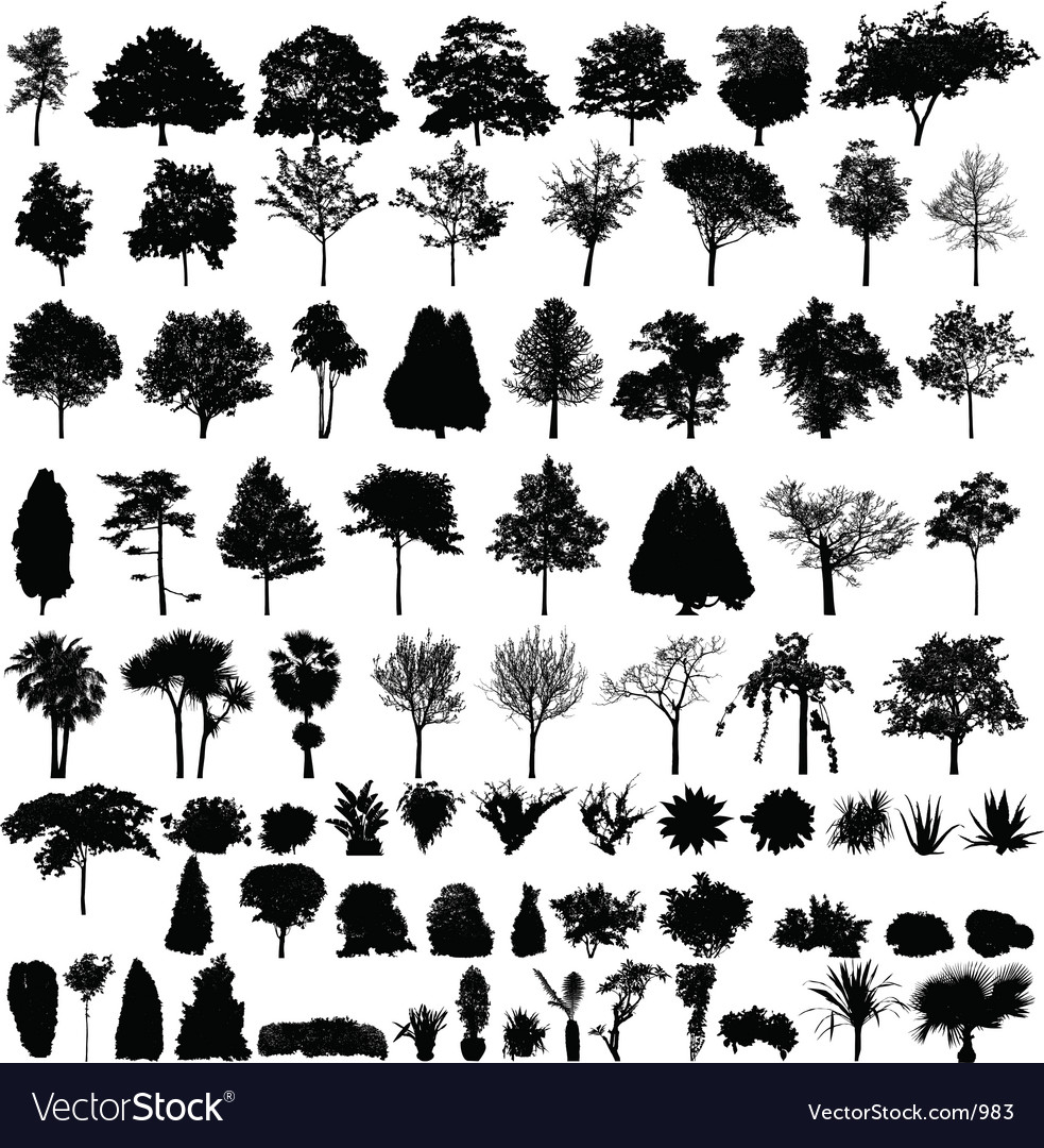 Download Plant silhouettes Royalty Free Vector Image - VectorStock