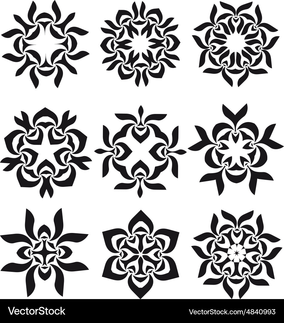 Calligraphic decorative elements Royalty Free Vector Image