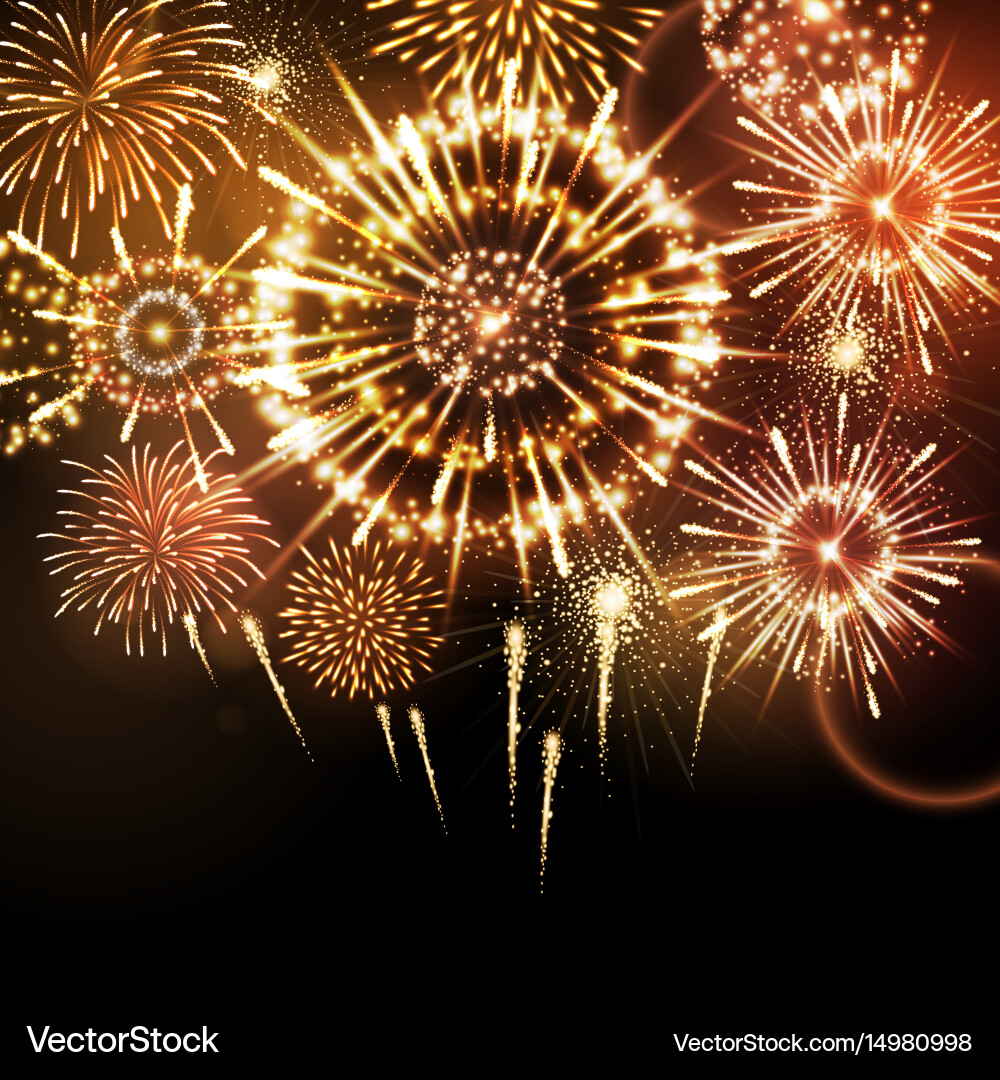 Holiday firework Royalty Free Vector Image - VectorStock