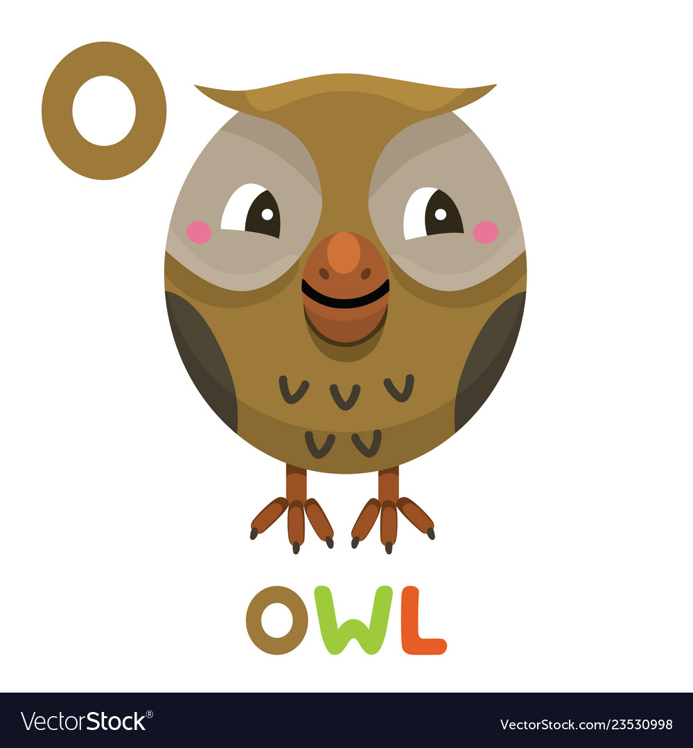 O is for owl letter o owl cute animal alphabet Vector Image