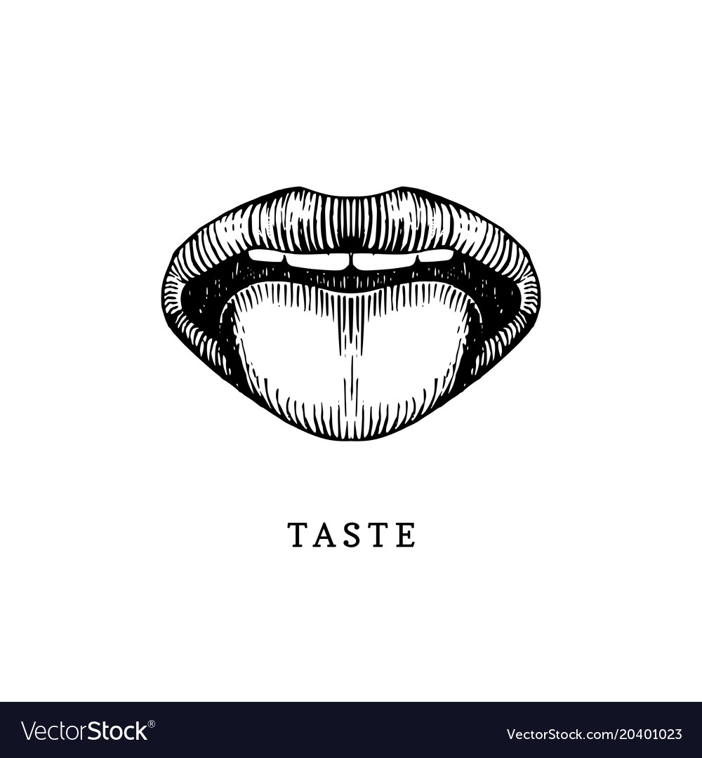 Hand Drawn Icon Of Human Sense Of Taste Royalty Free Vector 