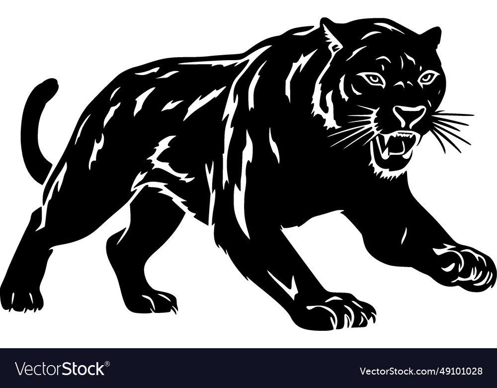 Panther - black and white Royalty Free Vector Image