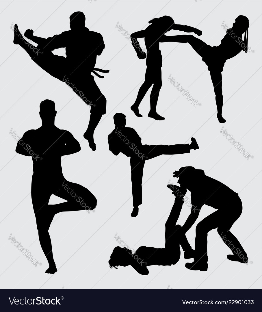 Martial art extreme sport silhouette Royalty Free Vector