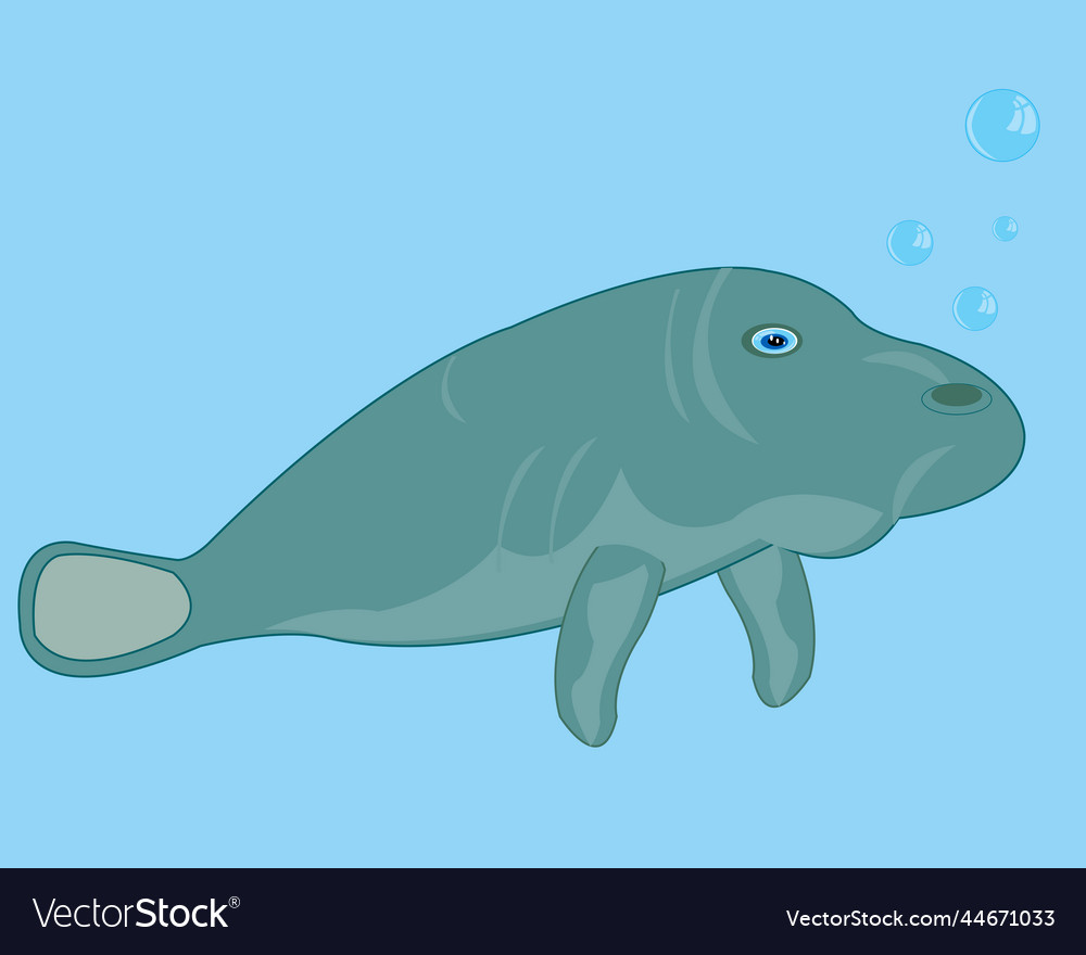 Wild mammal animal sea cow in water Royalty Free Vector Wild mammal animal sea cow in water Royalty Free Vector