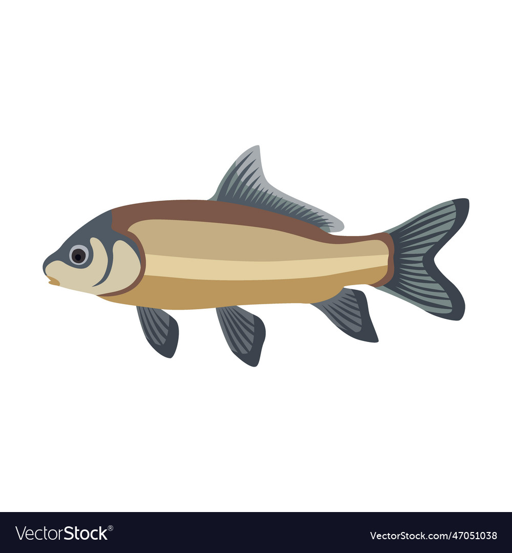 Freshwater fish cartoon herring Royalty Free Vector Image