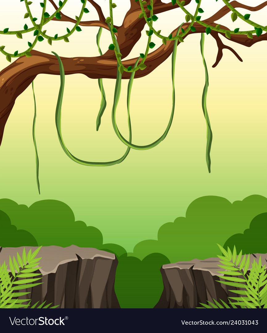 A nature cliff landscape Royalty Free Vector Image