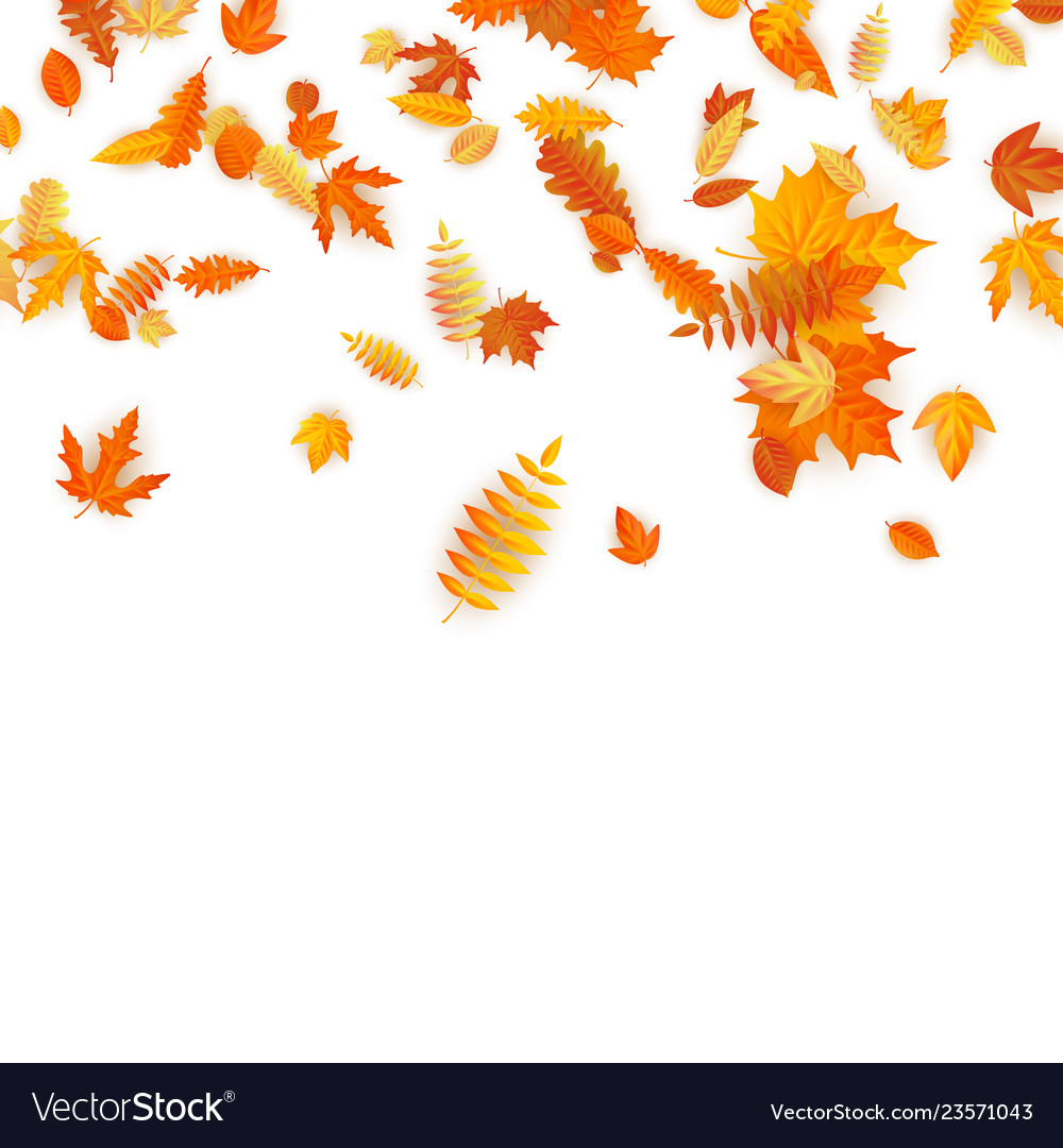 Autumn background with golden maple oak Royalty Free Vector