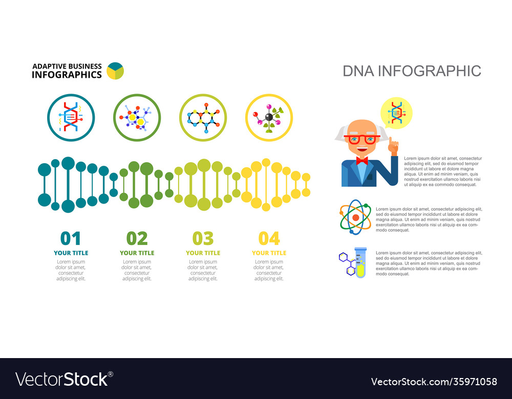 Four dna options slide template Royalty Free Vector Image