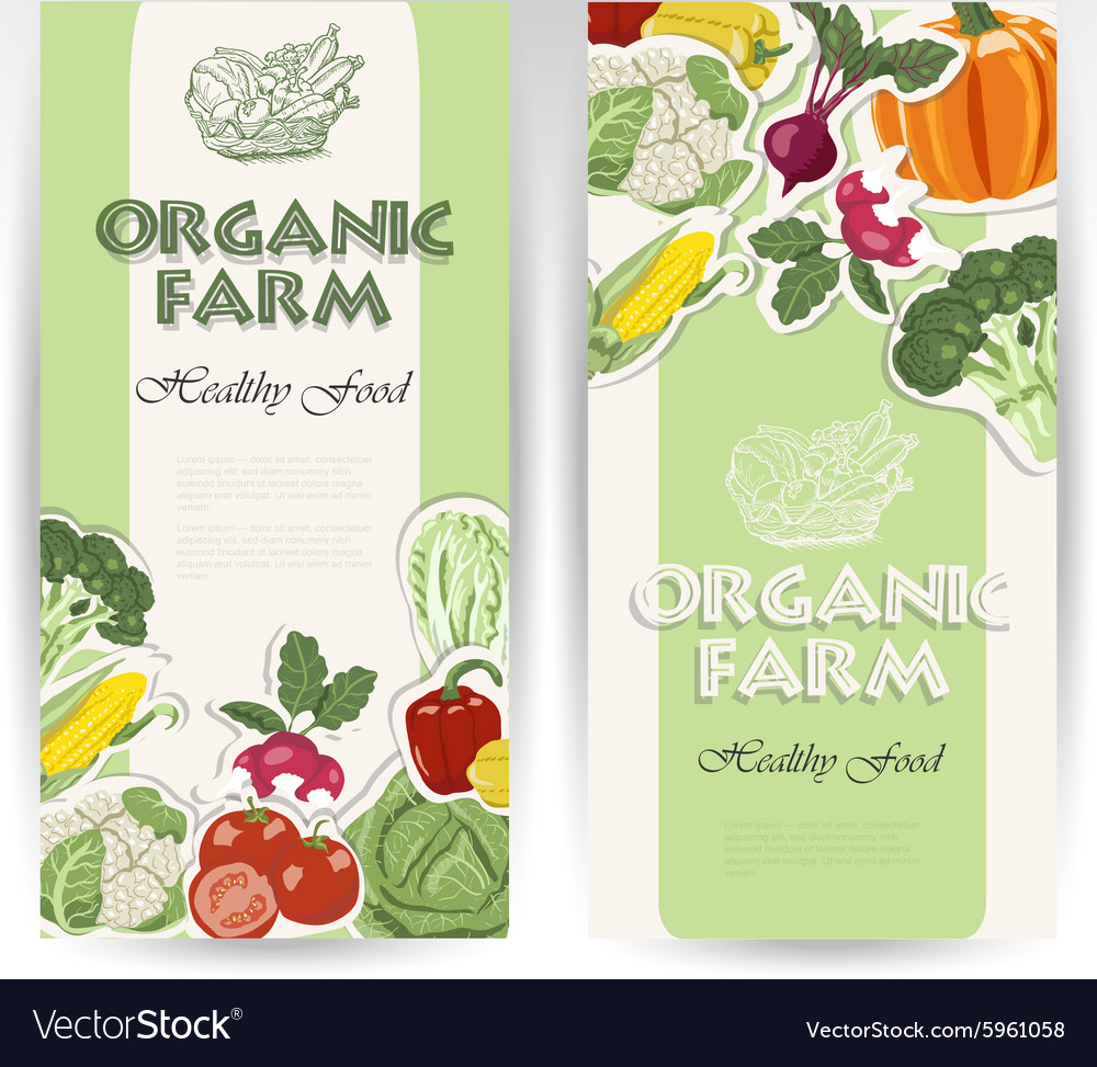 Vegetable card template Royalty Free Vector Image