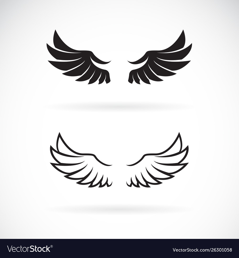 Wing design on white background icon or logo Vector Image