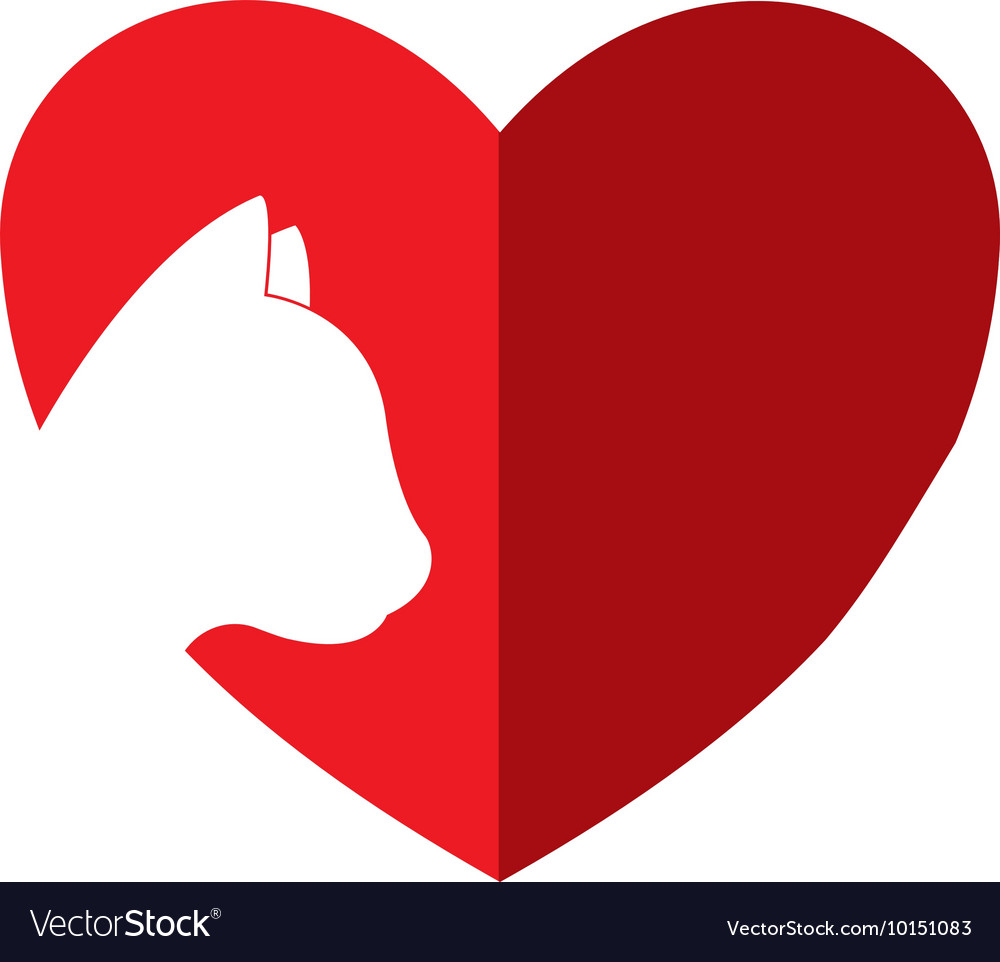 Heart cat love pet animal icon graphic