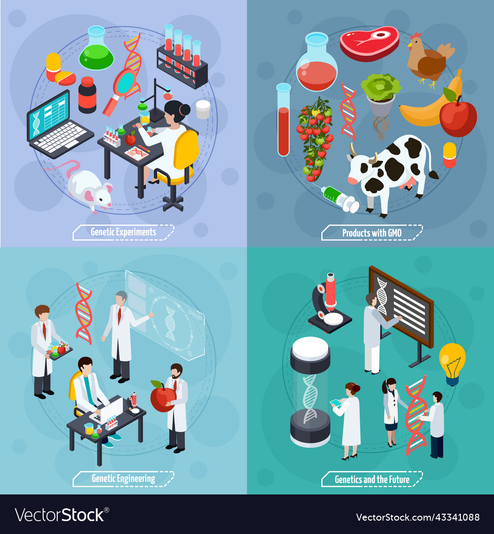 Genetics 2x2 design concept Royalty Free Vector Image