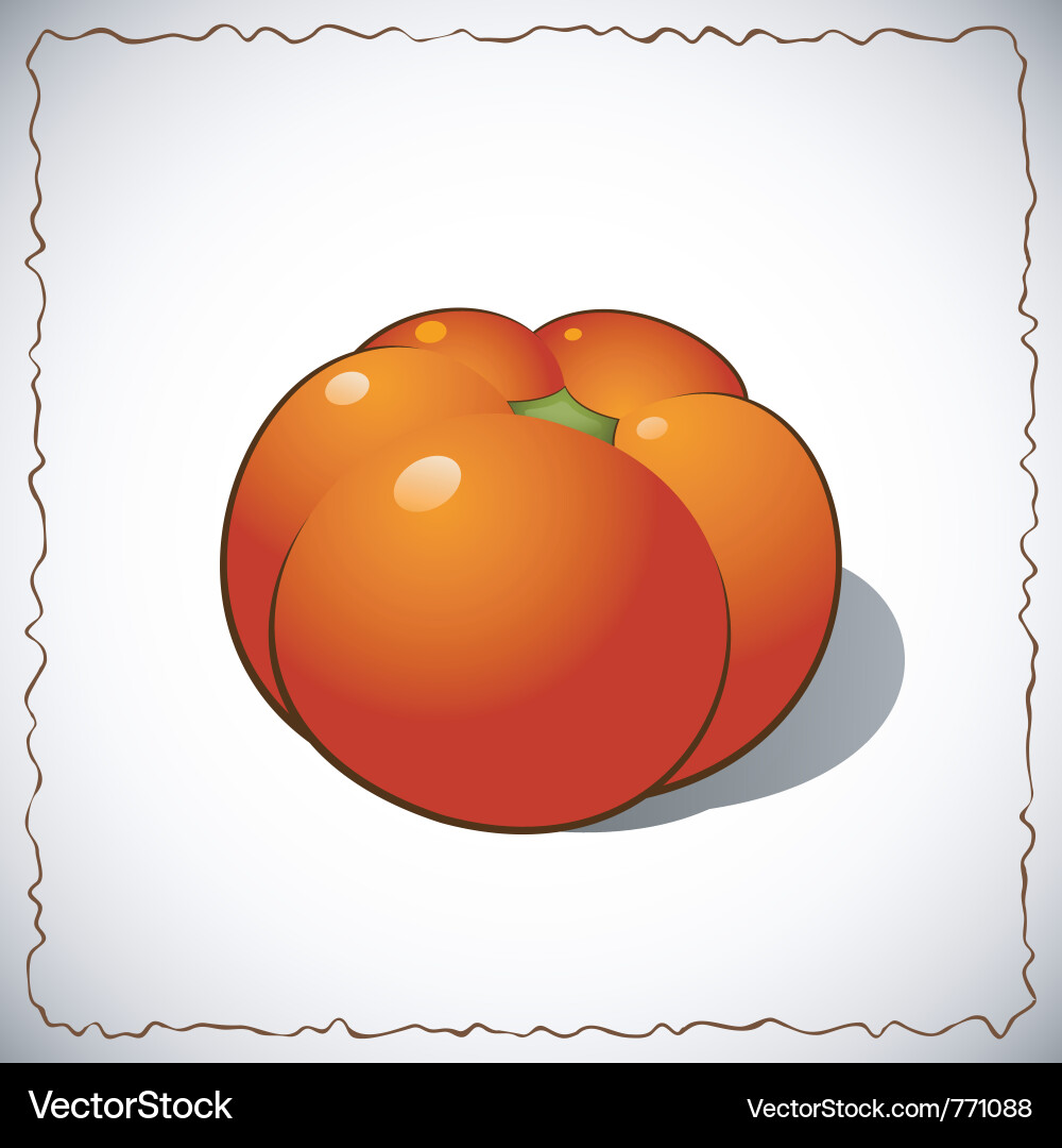 Tomato Royalty Free Vector Image - VectorStock