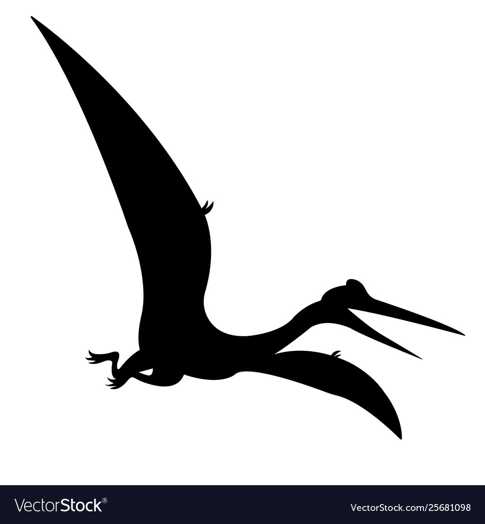 Pteranodon Isolated Flying Pterodactyl Sketch Stock Vector - Illustration  of vector, extinct: 168146560