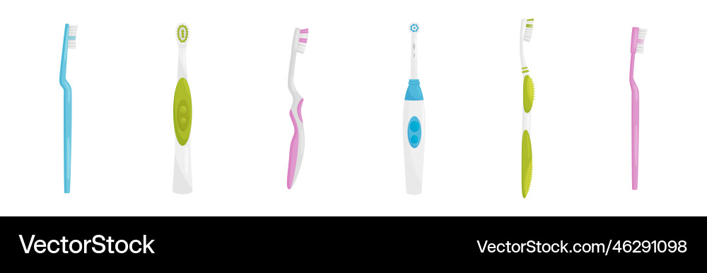 Toothbrush with bristles and handle as oral Vector Image