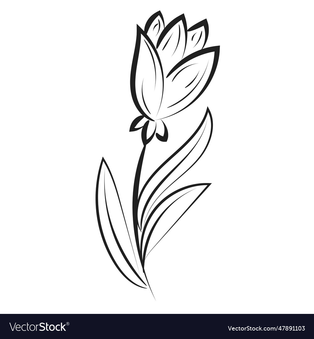 Hand drawn spring flower design Royalty Free Vector Image