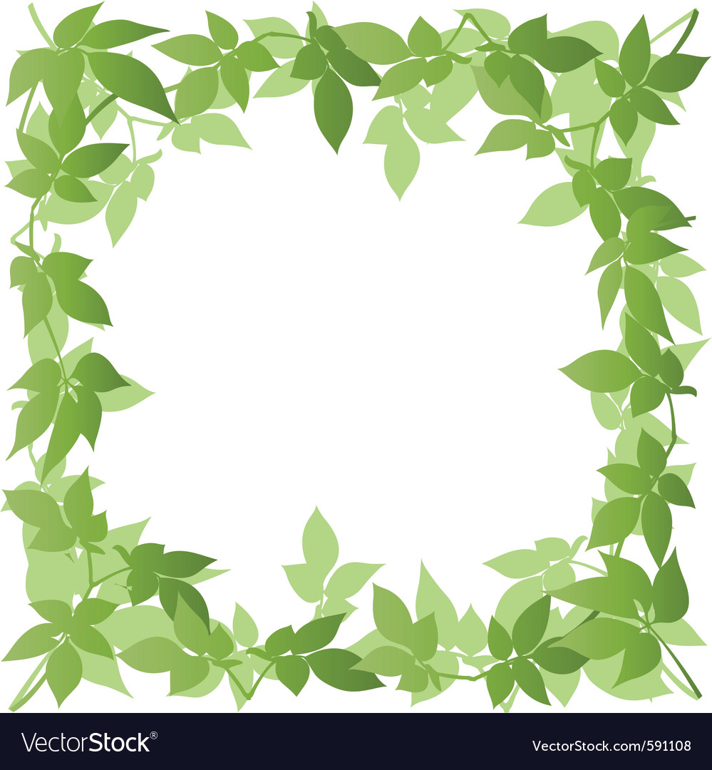 Floral border Royalty Free Vector Image - VectorStock