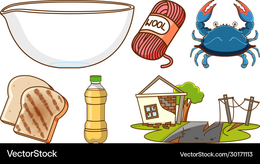 Large set different animals and other objects Vector Image