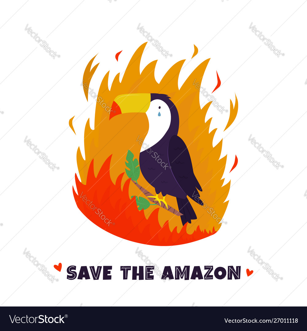 Amazon Fire Vector Images 58