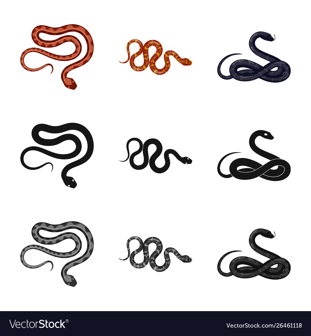 Mammal and danger logo set Royalty Free Vector Image