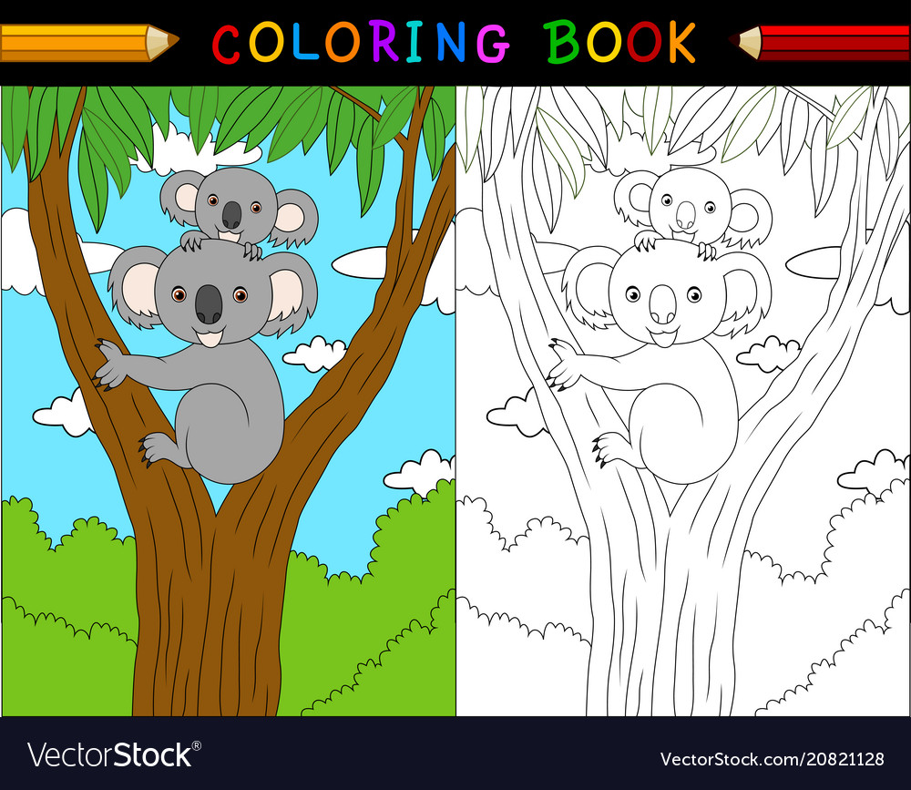 Cartoon Koala Coloring Book Animals Series Vector Image