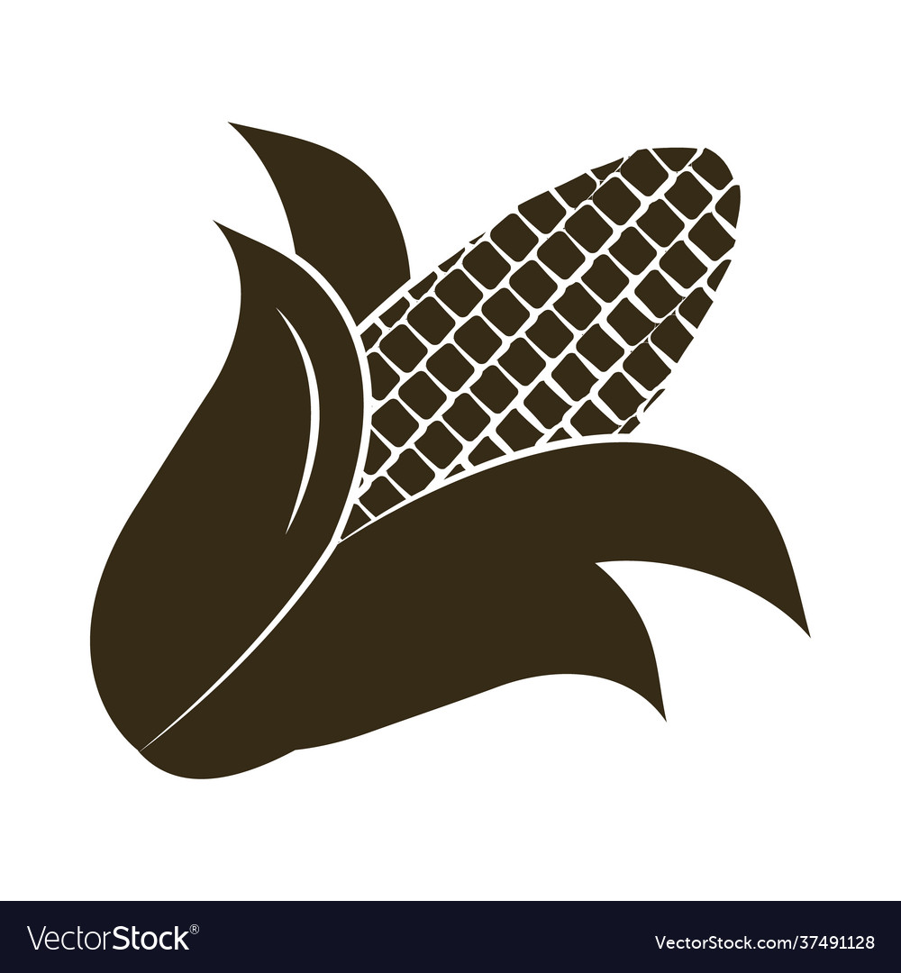 Corn cob icon Royalty Free Vector Image - VectorStock